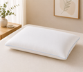 Classic Memory Foam Pillow 2 pack