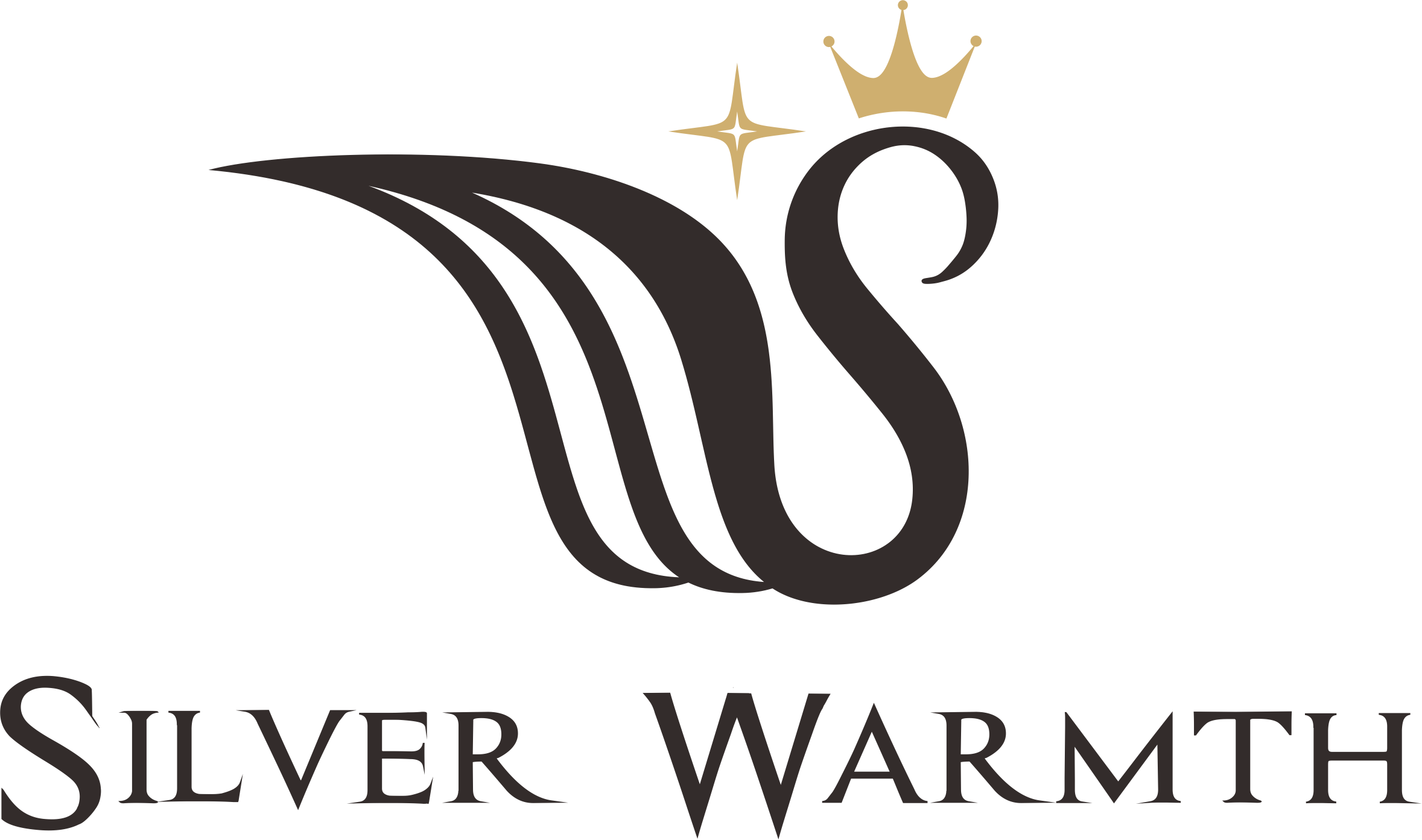 Silver Warmth Pillow